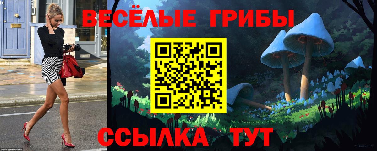 Отрадный  Псилоцибиновые грибы GOLDEN TEACHER  Вход с VPN  Псилоцибиновые грибы Psilocybe 
