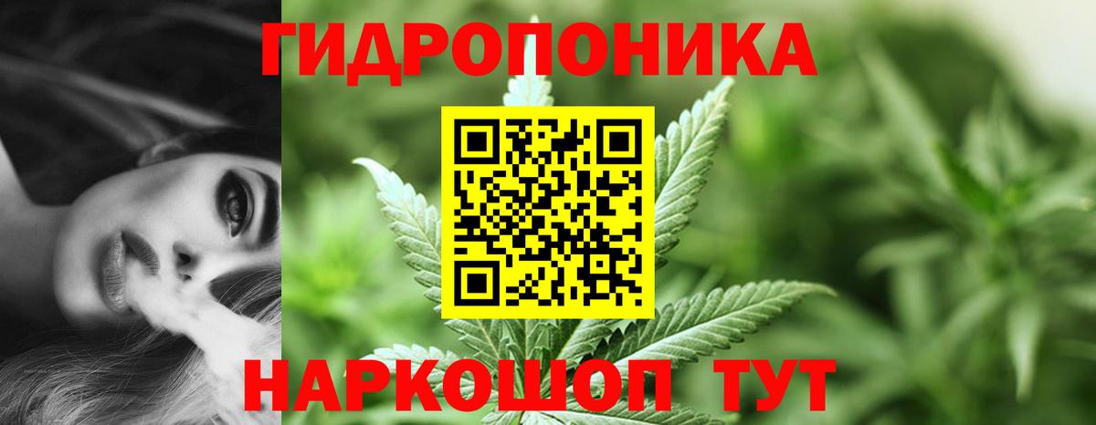 Бошки марихуана гибрид  Каннабис семена  Вход с VPN  Отрадный  Бошки Шишки OG Kush 